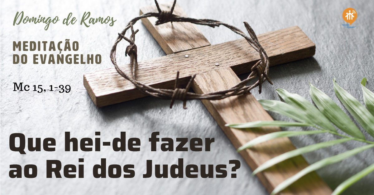 Meditação Evangelho Domingo de Ramos