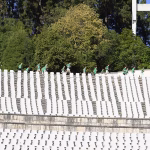 Salesianos de Lisboa organizam corta-mato: Uma tradição de superação e espírito comunitário