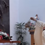 Celebrações em honra de Dom Bosco Calheta