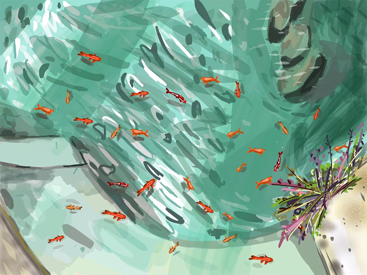 O exercício de ver segundo Hockney