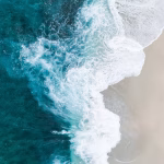 bs614-shifaaz-shamoon-okVXy9tG3KY-unsplash