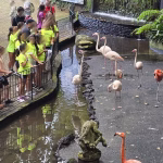 Campo de Férias dos Salesianos do Funchal: férias que educam, desafiam e deixam memórias para a vida