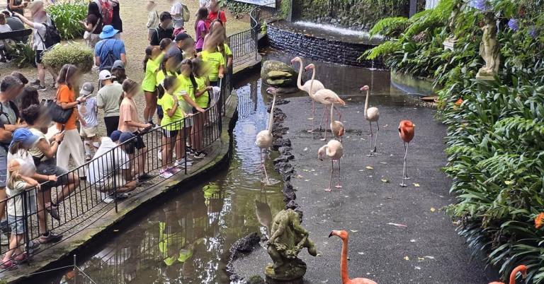 Campo de Férias dos Salesianos do Funchal: férias que educam, desafiam e deixam memórias para a vida