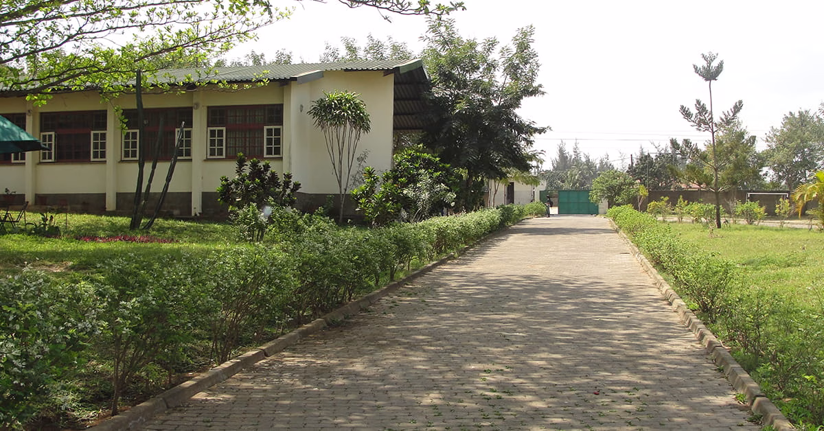 2006, Visitadoria de Moçambique